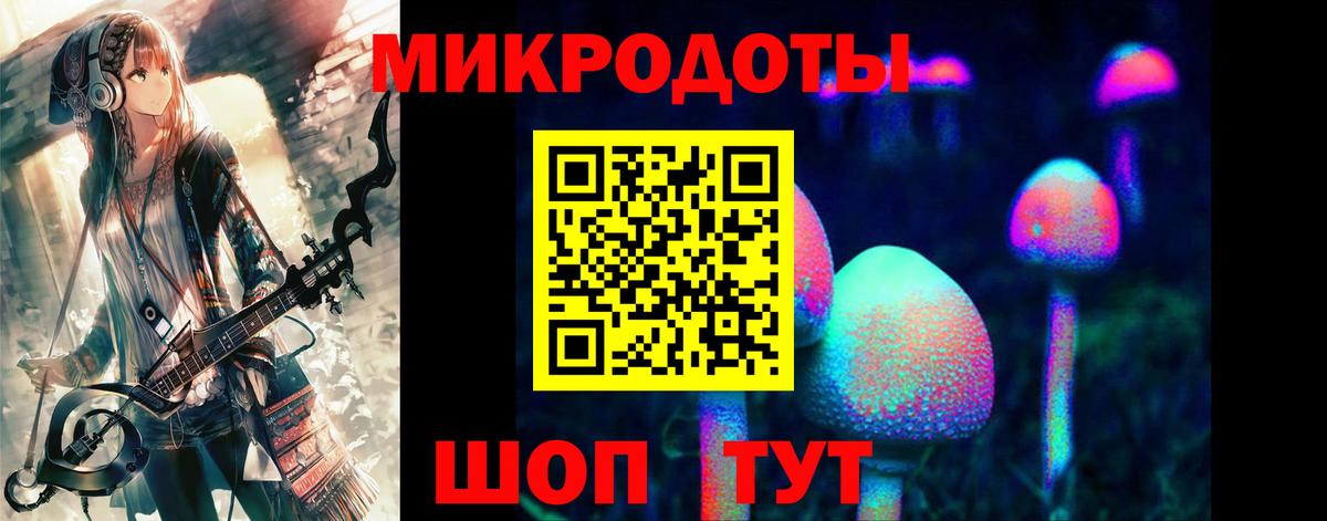 Псилоцибиновые грибы Psilocybe  Вход с VPN  Псилоцибиновые грибы GOLDEN TEACHER  Чехов 